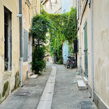 Maison Des Berges 阿爾勒